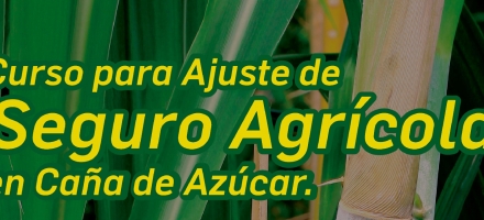 Curso de ajuste de seguro agrícola en caña de azúcar - 05 de diciembre de 2017