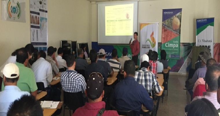 La conservación de reservorios vegetales, estrategia para el control de la Diatraea spp.