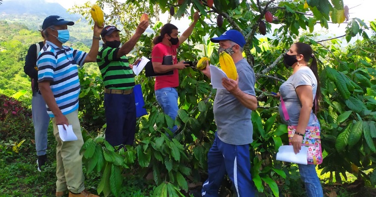 Productores de caña y cacao del Suroeste antioqueño se capacitaron para mejorar sus cultivos y producir con calidad