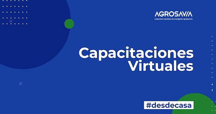 AGROSAVIA transforma sus capacitaciones y las lleva hacia la virtualidad durante este tiempo
