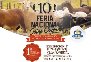 Bucaramanga acoge la X Feria Nacional Ovino Caprina