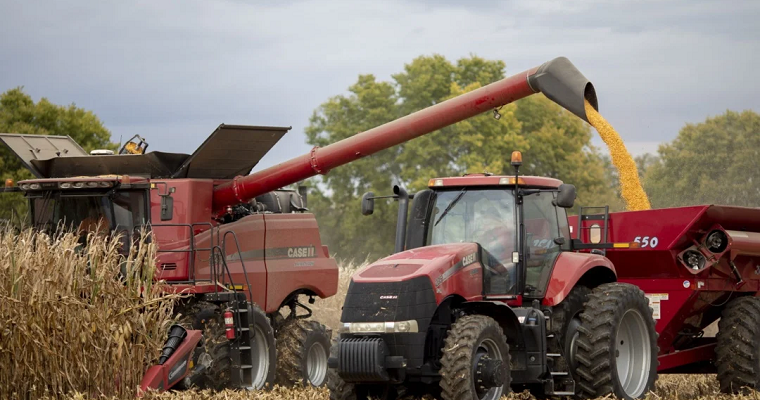 La UE y EE.UU. planean lanzar una plataforma para asegurar suministro de alimentos