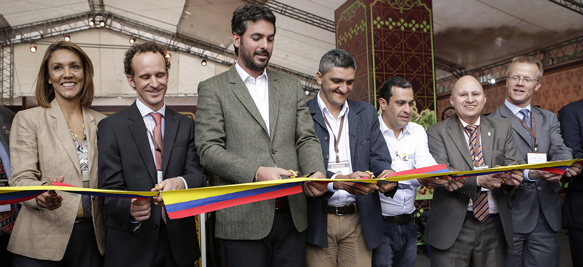 Buenos resultados del cultivo del cacao, lo ratifican como una de las estrellas para sembrar paz - 19 de septiembre de 2016