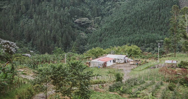 Nuevo decreto facilita acceso a tierra para víctimas de catástrofes naturales declaradas