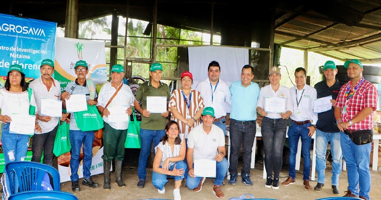 AGROSAVIA apoya productores ASOPANELA en la obtención de un Registro ICA, como productores y comercializadores de semilla de caña seleccionada para panela variedad CC93-7711