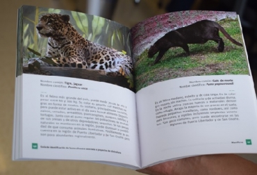 Grupo Argos y la U. CES identifican fauna silvestre en proyectos de silvicultura