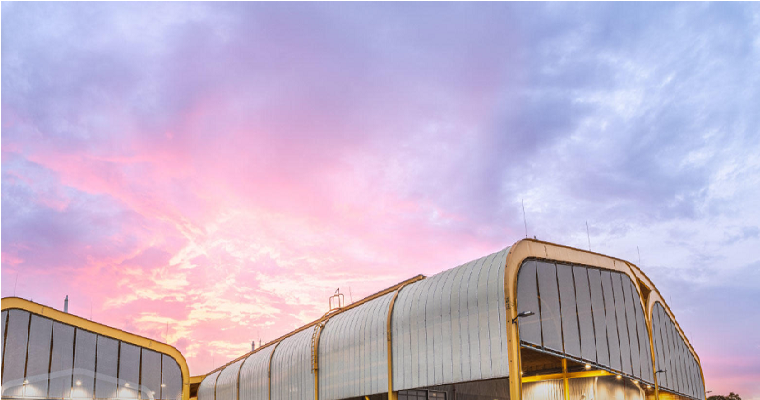 Una cooperación histórica garantiza apoyo a largo plazo para colecciones de frijoles y forrajes de importancia mundial