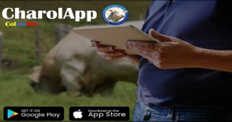 ‘Charolapp’, la nueva apuesta de Asocharolaise