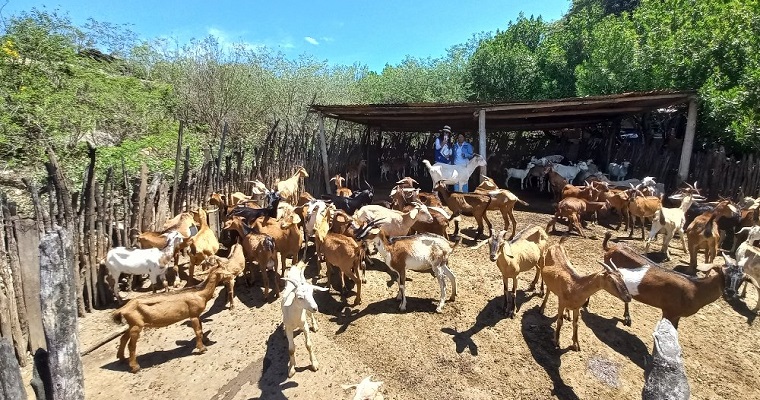 Inició proyecto enfocado en fortalecer capacidades de mujeres del sector rural en Santander