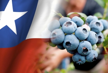 La oferta para el agro que Chile trae a Expo Agrofuturo