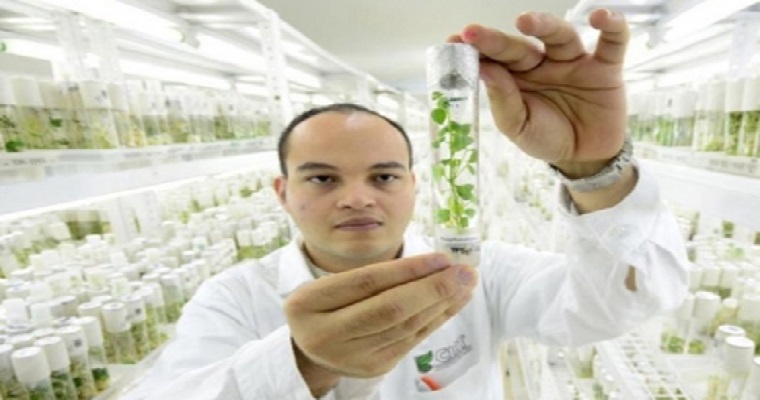 Estudian cómo el COVID-19 está influyendo en la producción agrícola y en el consumidor