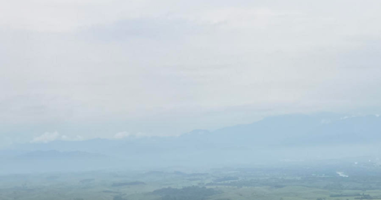 Uniendo fuerzas para proteger la Amazonía: ¿Es posible combinar instrumentos financieros con incentivos de conservación y restauración de bosques?