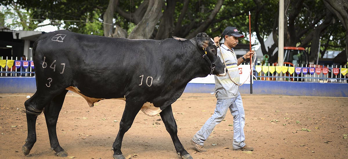 Implementación del decreto 1500 será gradual y participativa con gobernaciones - 04 de agosto de 2016