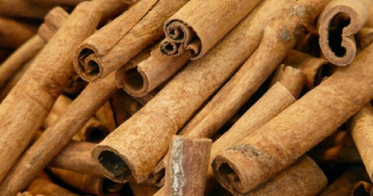 La canela, un cultivo rentable con potencial y futuro en las zonas tropicales