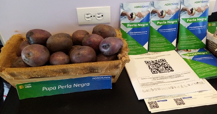 Cundinamarca presenta avances en innovación agropecuaria y agroindustrial