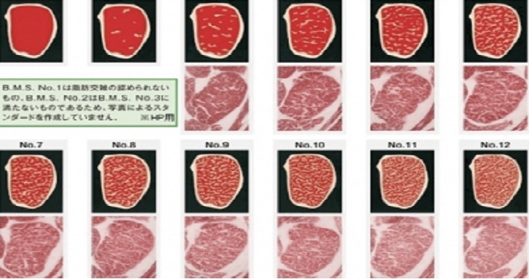 Conozca el sistema de clasificación de la carne Wagyu en Japón