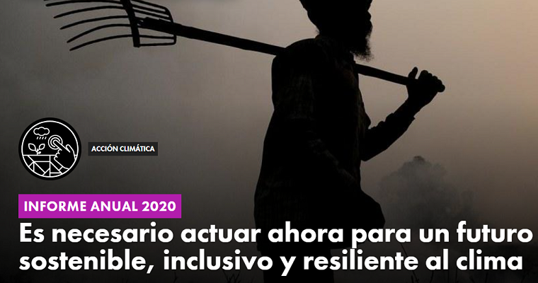 Es necesario actuar ahora para un futuro sostenible, inclusivo y resiliente al clima