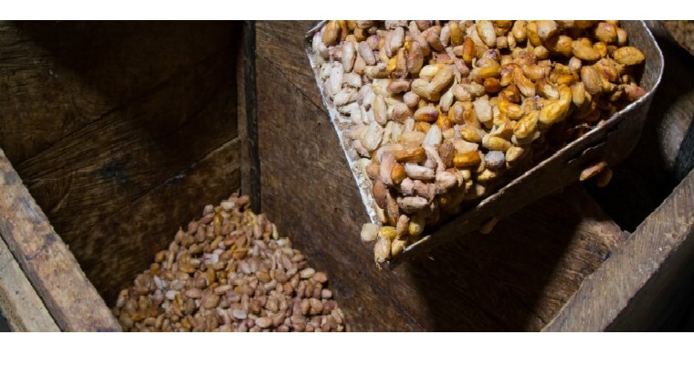 Cacao colombiano en el International Cocoa Awards