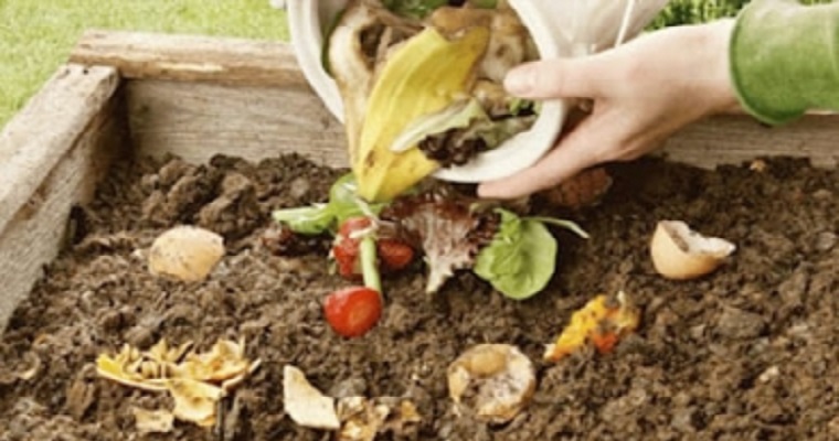 Así contribuye el compost a recuperar suelos degradados