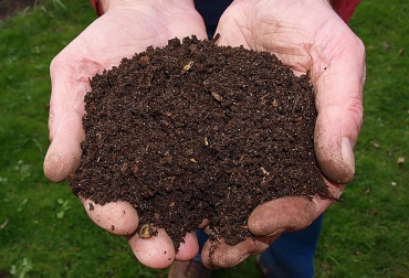 Microorganismos reducen seis meses tiempo de elaboración de compost