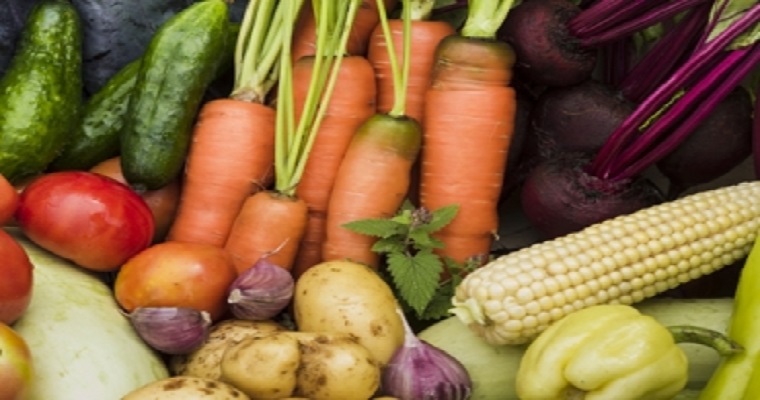 Alimentación y tendencias: el rol de la agricultura en la nutrición del futuro