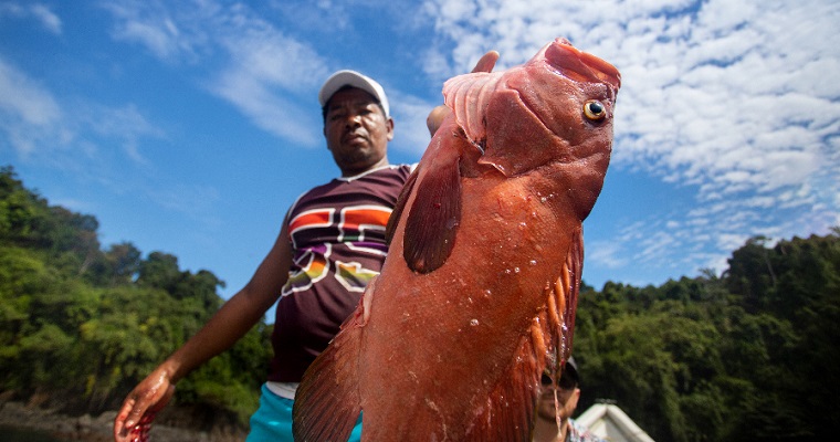 En marzo de 2024 ingresaron 564.815 toneladas de alimento a las principales centrales mayoristas