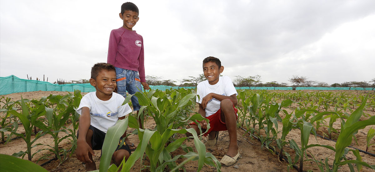 MinAgricultura apoya a 623 familias de Chocó y la Guajira a proteger sus cultivos de los riesgos del clima - 22 de julio de 2016