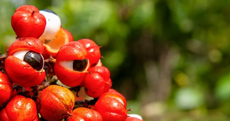 Así es como puede mejorar sus niveles de concentración y energía con estas bebidas