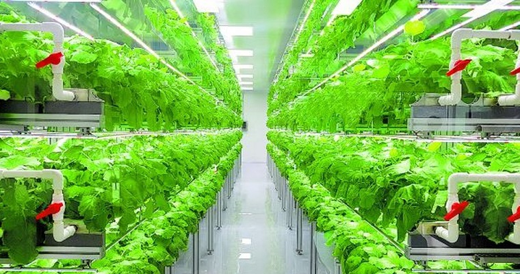 Granjas verticales, opción ante calentamiento global