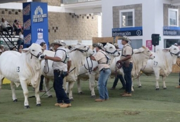 Santander acoge con los brazos abiertos el Congreso Mundial Brahman