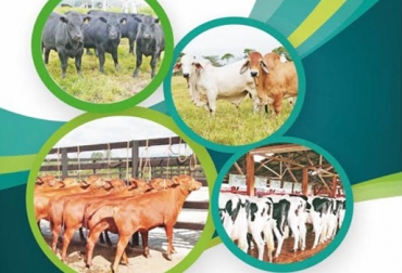 Inscríbase al 1er Congreso de Reproducción y Genética en bovinos