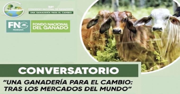 Colombia es un gigante dormido en materia cárnica, dicen expertos