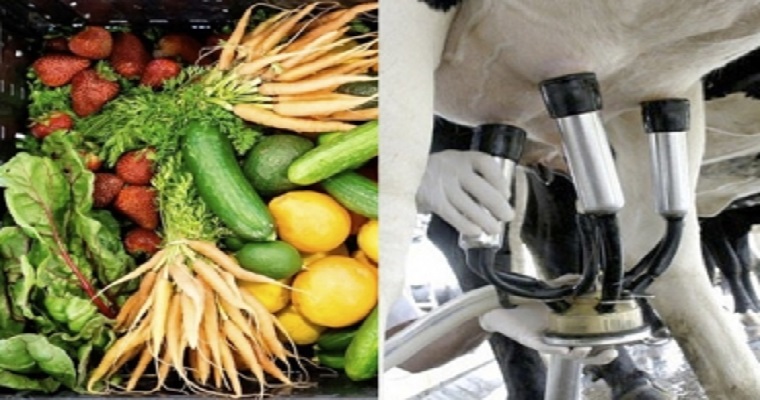 Conozca las 10 cooperativas agroalimentarias más grandes del mundo