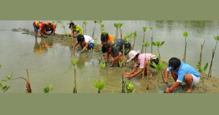 Como preservar la biodiversidad forestal sin perder los medios de subsistencia