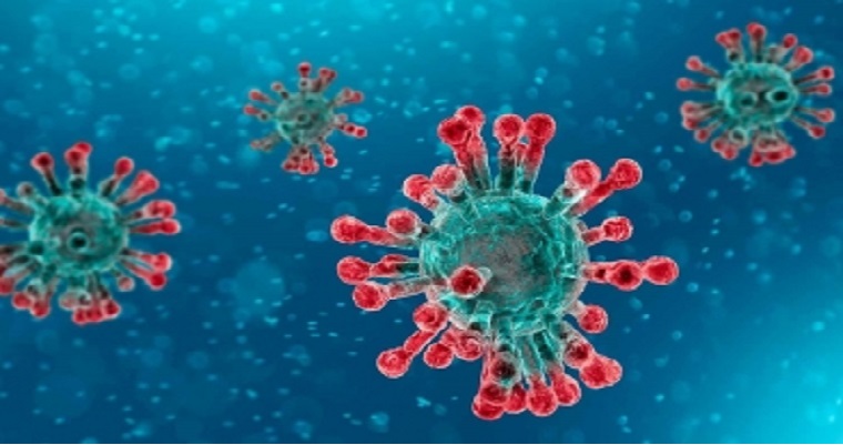 Coronavirus y mascotas, cuidados a tener en cuenta