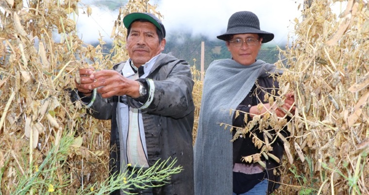 Resultados de las convocatorias del Plan Semilla – ARVEJA