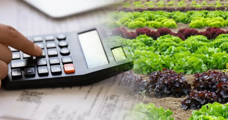 Cómo elaborar una estructura de costos de un cultivo