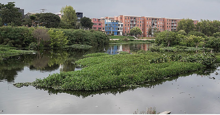 Niños sellan compromiso ambiental con humedal de Jaboque