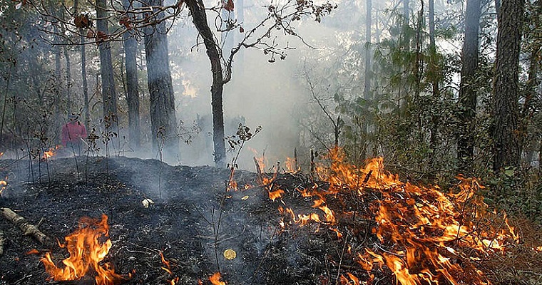 Cuarentena mejora calidad del aire, pero incendios forestales preocupan