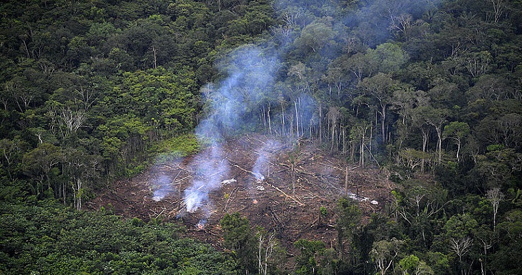 Incendios forestales afectan a toda Latinoamérica