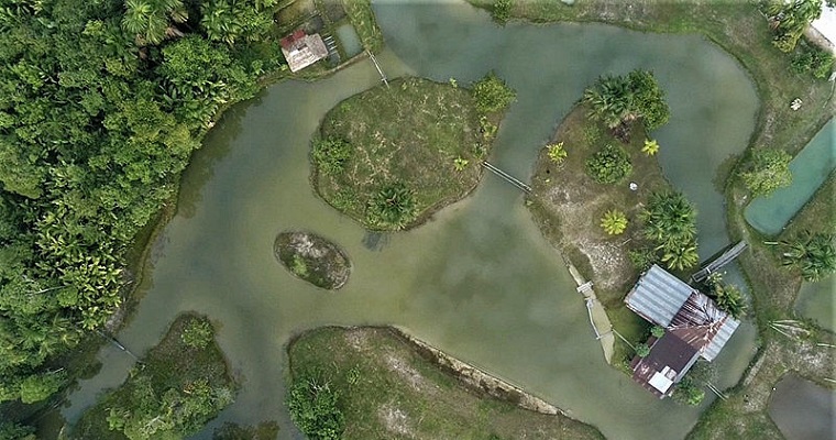 Humedales de Leticia, a conocerlos para cuidarlos