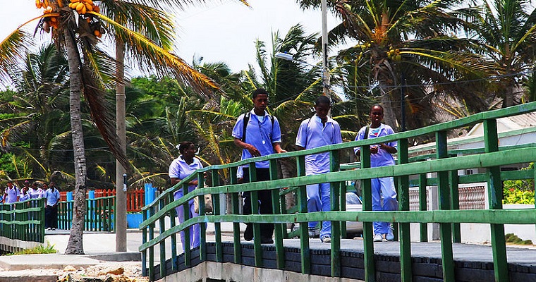 Cultura y ciencia oceánica se deben fomentar desde la educación temprana