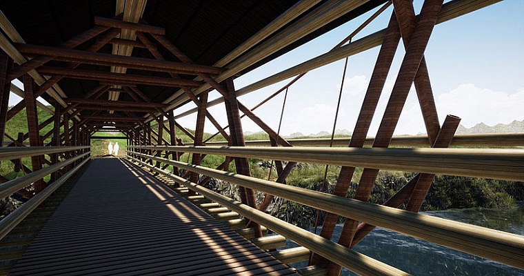 Guadua, material ideal para puentes en zonas rurales