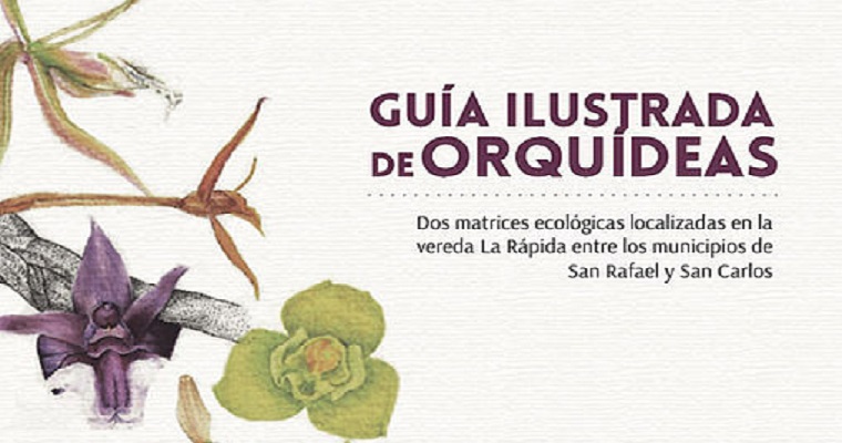 Botánica y arte en la Guía ilustrada de orquídeas