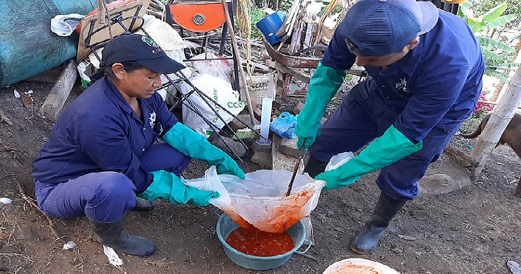 Biopreparados reducirían plagas en cultivo de mora