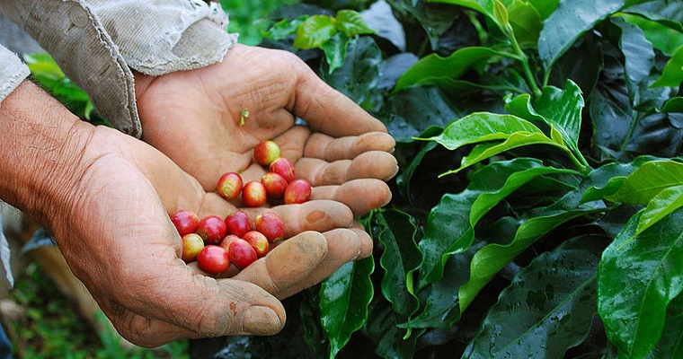 Recopilan historia del control biológico en Latinoamérica y el Caribe