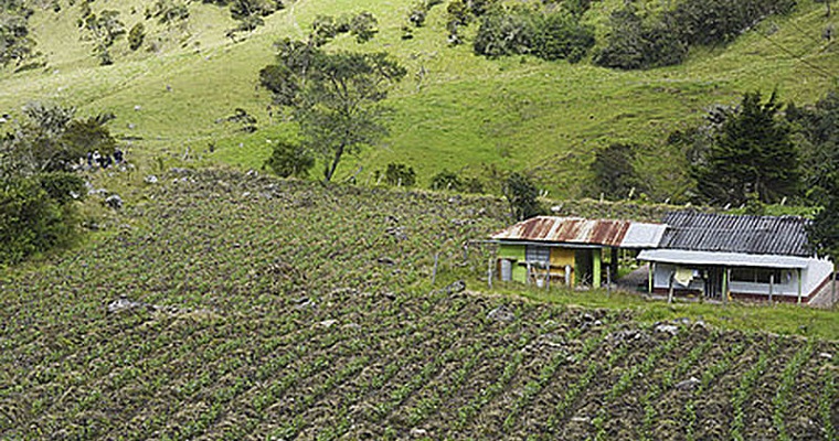 “Lo rural no es solo lo agropecuario”