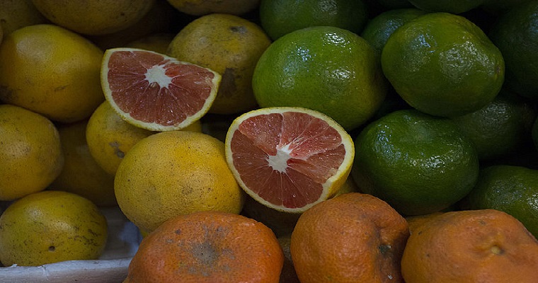 Sistema alimentario debe privilegiar la agroecología