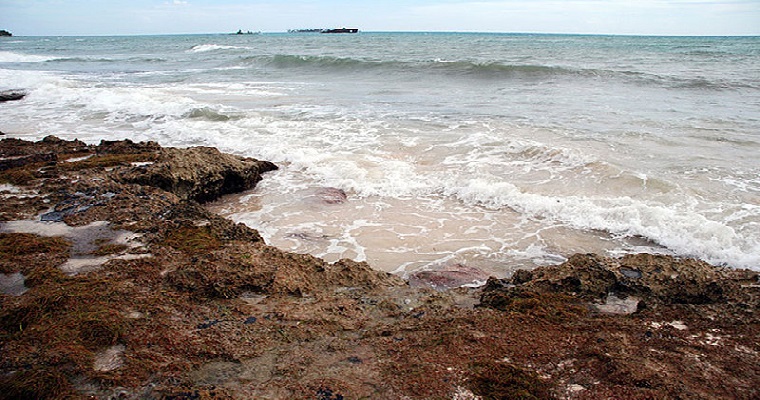 Variaciones climáticas del Pacífico ecuatorial también influyen en las epidemias