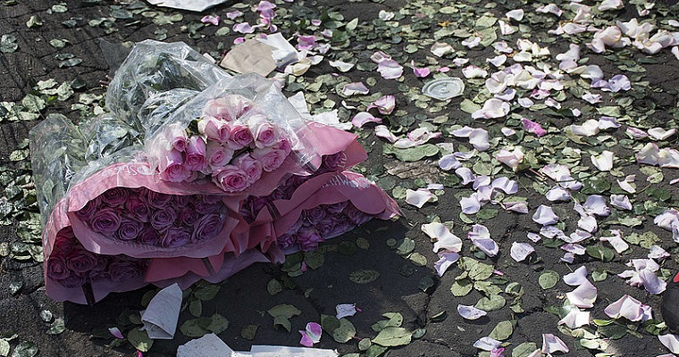 Tallos de rosa muestran alto potencial para producir biocombustibles